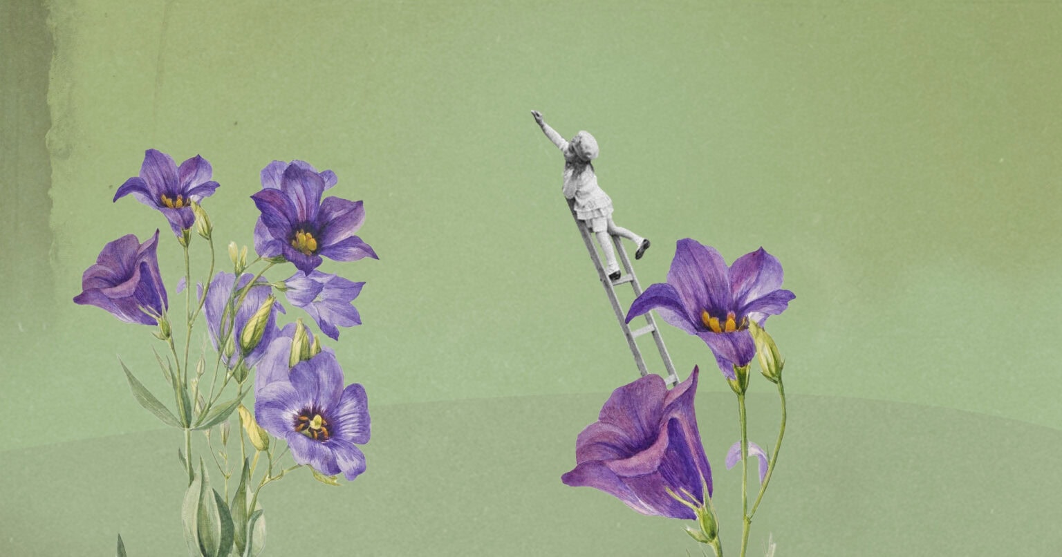 بيوتُنا لا تُزوِّج الصغيرات